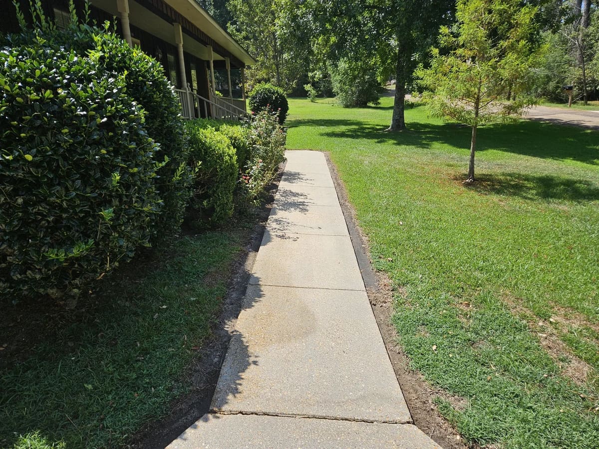 Front walkway after exterior cleaning in Collins, Mississippi