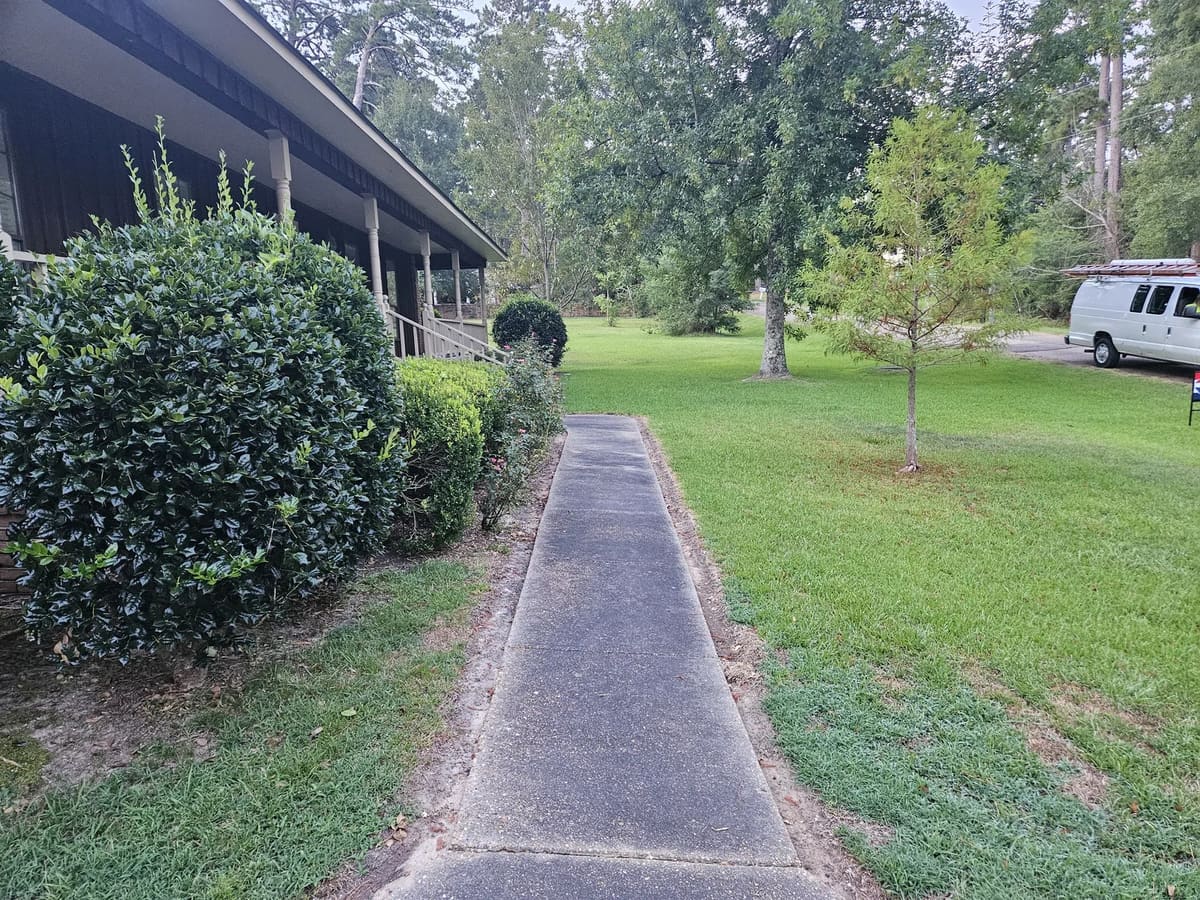 Front walkway before exterior cleaning in Collins, Mississippi
